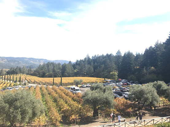 Napa