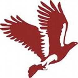 Faculty of Management Studies - University of Delhi logo